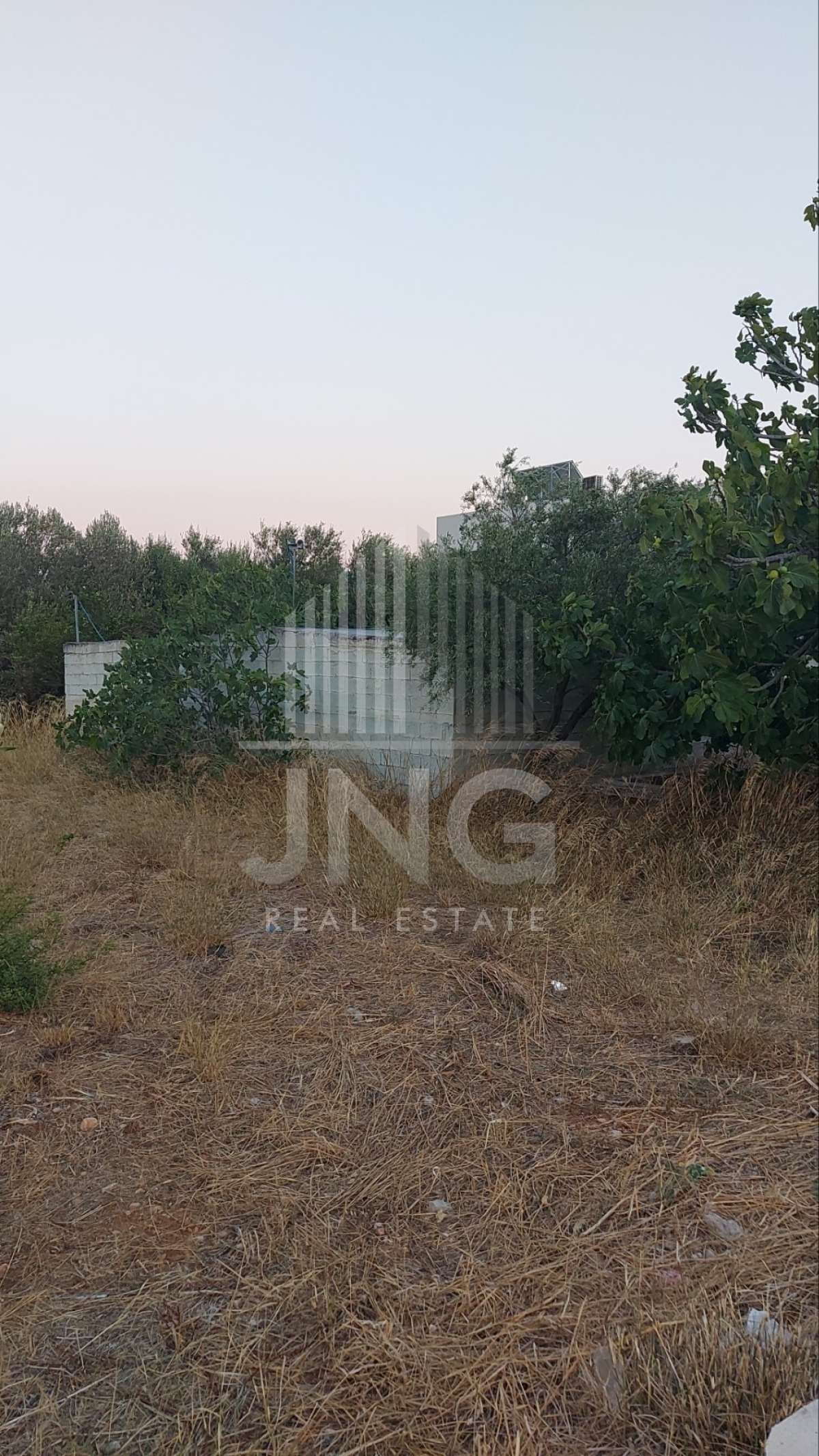 property-img