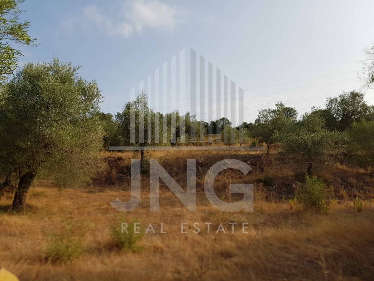 property-img
